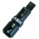 Zur Kategorie Raubvogelrufe wechseln