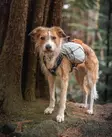 Non-Stop Trail Light Pack, Hundewanderrucksack - Hundeausrüstung - 7071652027860 - 9