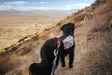 Non-Stop Trail Light Pack, Hundewanderrucksack - Hundeausrüstung - 7071652027860 - 7