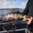 Rapala Snare 6cm 16g - Löffel - SN50 - 2