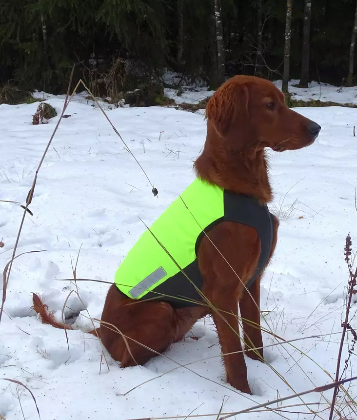 Kardog Helmi Schnittschutzweste - Hundeausrüstung - 6430067784810 - 1