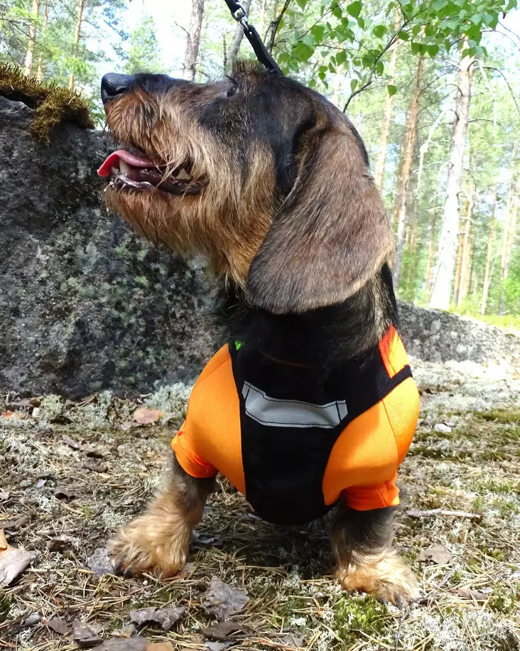 Kardog Lumi Unterweste - Hundeausrüstung - 6430067784500 - 1