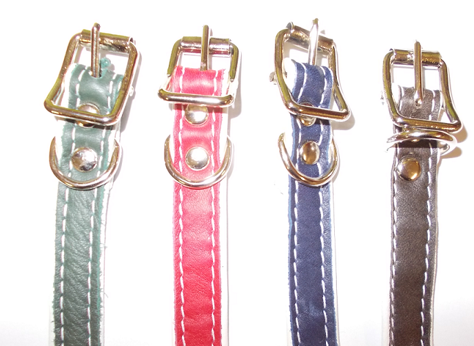 Halsband 1,5x35cm - Hundeausrüstung - 0699900008430 - 1