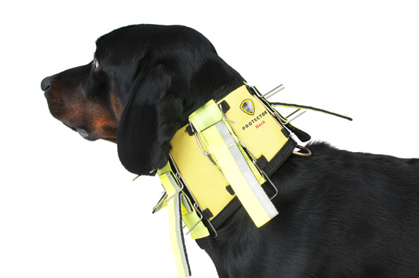 Nackenschutz für Hunde, Dogtech Neck - Hundeausrüstung - 7350106051640 - 1