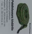 Gewehrreinigungsdraht, Bore Cleaner - Produkte zur Seenpflege - 6430038644251 - 1