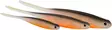 Westin ShadTeez Pintail 11 cm 3,5 g, 2 Stück - Jigs und Shads - P245-XXX-251 - 2
