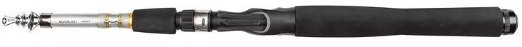 Daiwa Silvercast Tele-Rute 6' 10-30g - Baitcasting- und Spinnruten - 5055545241833 - 1
