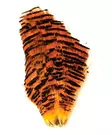 Goldener Fasan Komplettvorfach - Natürliche Fliegenmaterialien - 6430028182442 - 1