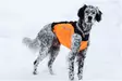 Non-Stop Hundeweste Jagdabdeckung - Hundeausrüstung - 707165201742 - 5