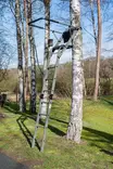 Passivertikal, klappbar - Lockbilder - 4031936220442 - 1