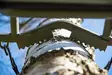 Passivertikal, klappbar - Lockbilder - 4031936220442 - 2