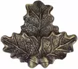 Wildschwein Trofeebefestigung, Bronze - Trophäenprodukte - 4250392314452 - 1