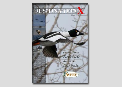 Ziel X vol. 5 - Angel-DVD - Jagdfilme und DVDs - 810280017212 - 1