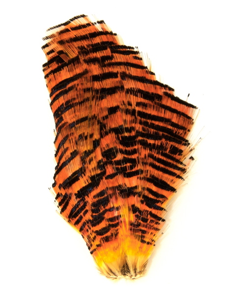 Goldener Fasan Komplettvorfach - Natürliche Fliegenmaterialien - 6430028182442 - 1