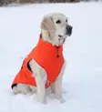 Finnero Sport Softshell-Jacke für Hunde - Hundeausrüstung - 6438406009243 - 5