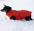 Finnero Sport Softshell-Jacke für Hunde - Hundeausrüstung - 6438406009243 - 4
