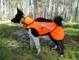 Kardog Pure Kevlar Rückseite - Hundeausrüstung - 643006778393 - 1