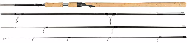 Daiwa SilverCreek Lachs, Offene Rute 3,00 m - Spinruten - 5055545242823 - 1