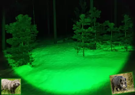 NITEforce Grünes LED-Fütterungslicht - Anlock- und Ansitzjagd - 6430061582094 - 2