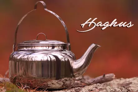 Feuerstellen-Kochgeschirr 1,5 l Haghus - Kochen, Thermosflaschen und Trinkflaschen - 6438212106984 - 2