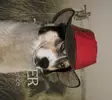 Hut aus Elchleder - Kopfbedeckungen - 0699900002704 - 1