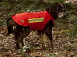 Wildtragen, Dogtech One, Größe L - Hundeausrüstung - 7350106055224 - 4