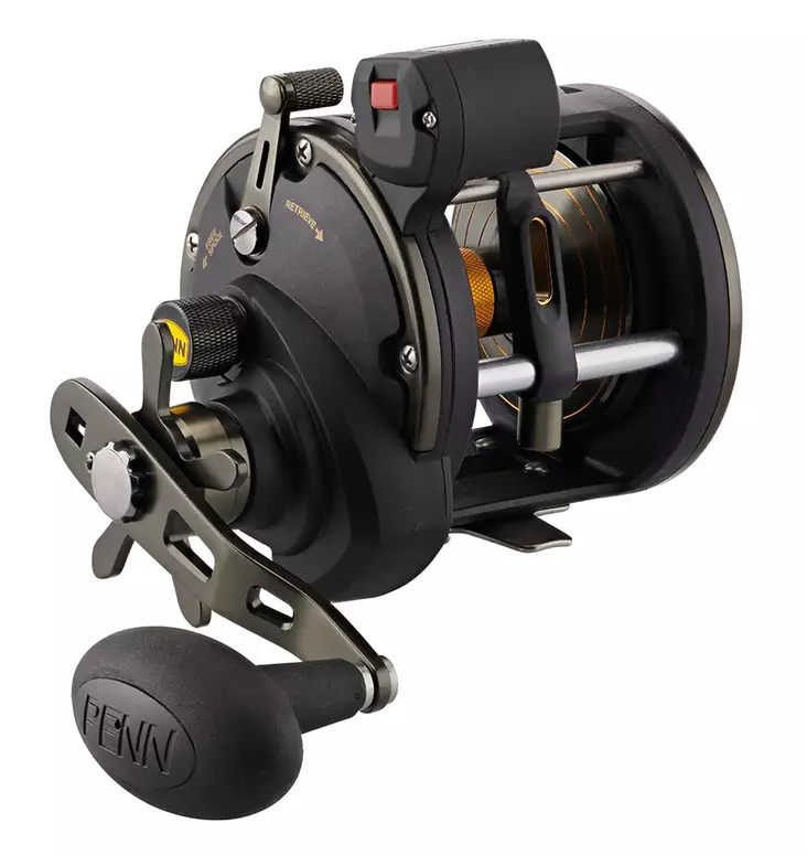 Penn Squall II 30LWLC, Angelrolle - Angelrollen - 031324274914 - 1