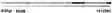 Abu Garcia Ike Signature 6' 8-28g, offen - Spinruten - 036282975415 - 1