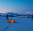 Fjällräven Polar Endurance 3, Zelt - Fjällräven Zelte und Schlafsäcke - 7323450260415 - 6