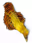 Goldener Fasan Komplettkopf - Natürliche Fliegenmaterialien - 6430028182435 - 1