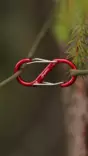 Haghus S Karabinerhaken, 5,5 cm 4 Stück. - Zelte, Schlafmatten und Hängematten - 6438212103495 - 2