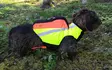 Kardog Inari GPS-Warnweste - Hundeausrüstung - 651561665 - 3