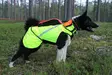 Kardog Pure Kevlar Hundeweste - Hundeausrüstung - 643006778385 - 3