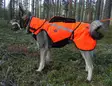 Kardog Pure Kevlar Hundeweste - Hundeausrüstung - 643006778385 - 2