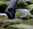 Skinners, Barfußsocke - Socken - 8594190390535 - 5