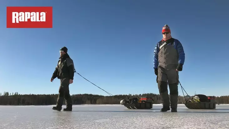 Schlitten Zuggurt - Eisangelbedarf - 022677297705 - 2