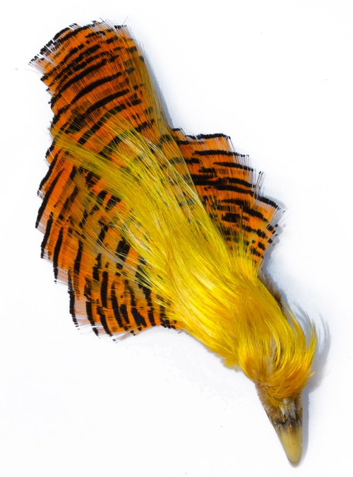 Goldener Fasan Komplettkopf - Natürliche Fliegenmaterialien - 6430028182435 - 1