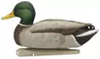 Avian-X Fusion 6 Stück, Entenbilder - Lockbilder - 810280080766 - 1