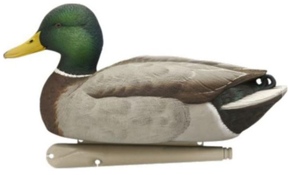 Avian-X Fusion 6 Stück, Entenbilder - Lockbilder - 810280080766 - 1