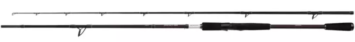 Shimano Yasei BB Pike 220cm 20-60g - Spinruten - 8717009873956 - 1