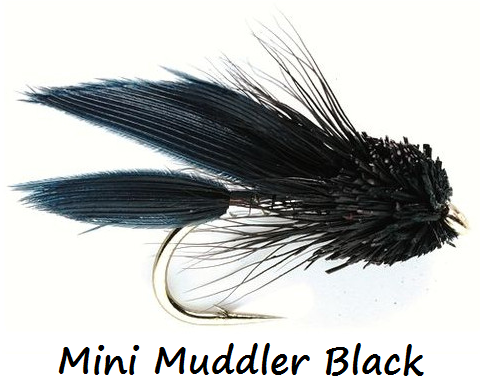Streamerfliegen 2 Stück, Mini Muddler Bl. S12 - Fertigfliegen - 6430037106996 - 1