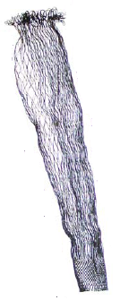 Wechselspitze, monofil, Tiefe 60 cm - Angelnetze - 6430010611646 - 1