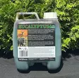 Eukalyptus-Terra 5L, Lockmittel - Aroma- und Lockstoffe - 105-037 - 1