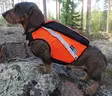 Kardog Uuno GPS-Sicherheitsweste - Hundeausrüstung - 643006778367 - 1