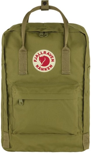 Fjällräven Kånken Laptop 15", F.Grün - Fjällräven Kånken Laptop - 7323450786137 - 1