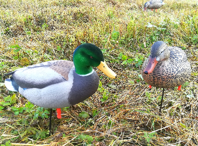 GHG Pro-Grade Vollkörper-Mallards, Aktiv - Lockbilder - 0700905722167 - 1