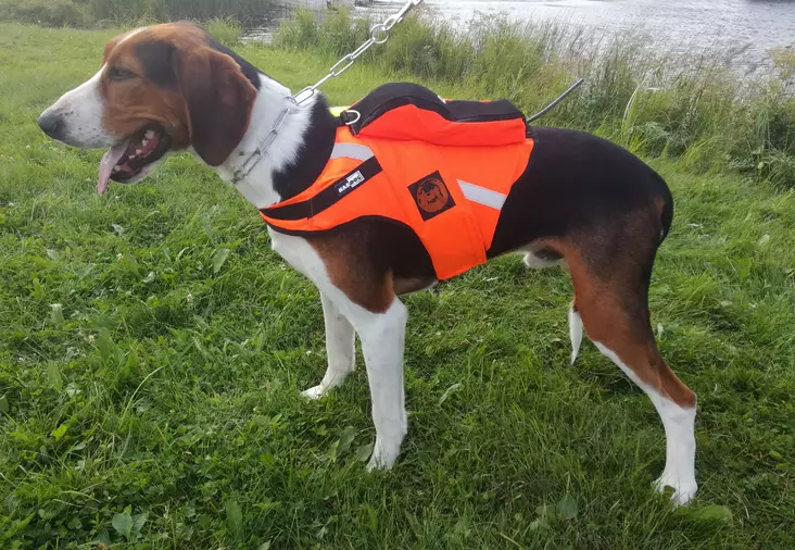 Kardog Raipe GPS-Sicherheitsweste - Hundeausrüstung - 20150588877 - 1