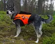 Kardog Jehu schwimmende GPS-Sicherheitsweste - Hundeausrüstung - 20150588888 - 2