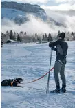Non-Stop Löype Pro, Ski-Gurt - Hundeausrüstung - 7071652014488 - 7
