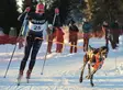 Non-Stop Löype Pro, Ski-Gurt - Hundeausrüstung - 7071652014488 - 9